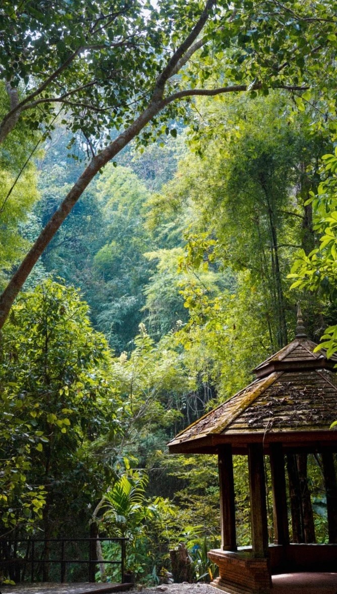 Peaceful Serenity & Busy Intensity: Two Weeks in&nbsp;Thailand